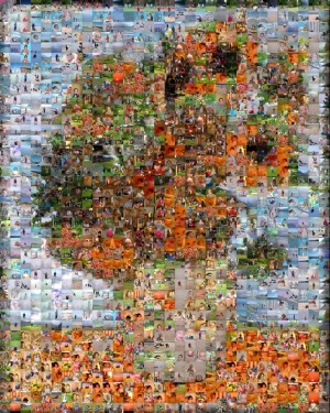 Sonnenblumen von Picasso